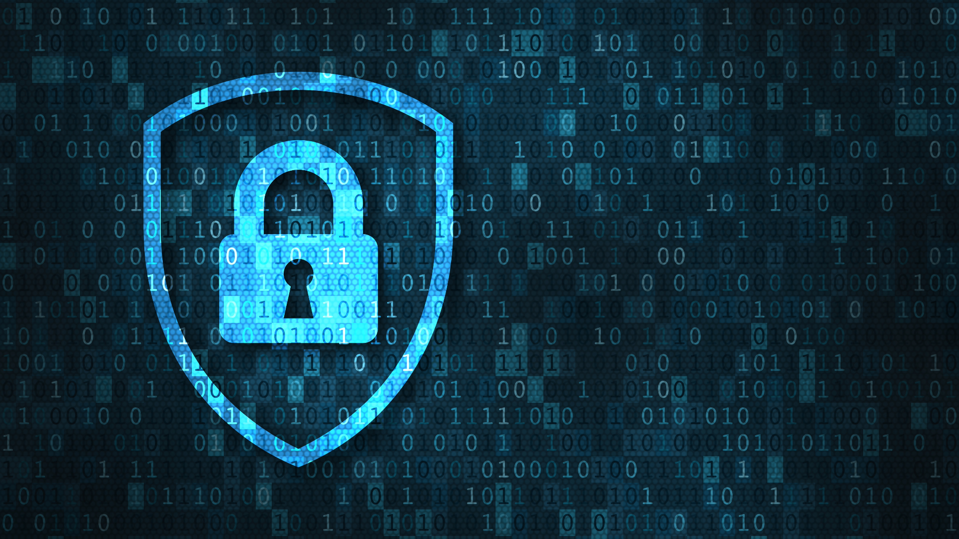 Data Privacy and Security